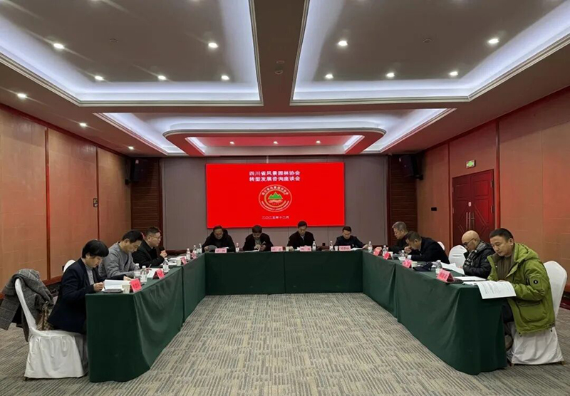 协会召开转型发展咨询座谈会